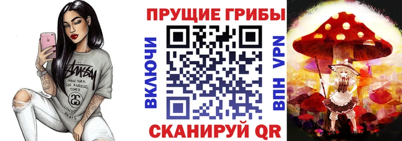 Псилоцибиновые грибы GOLDEN TEACHER  Сальск 